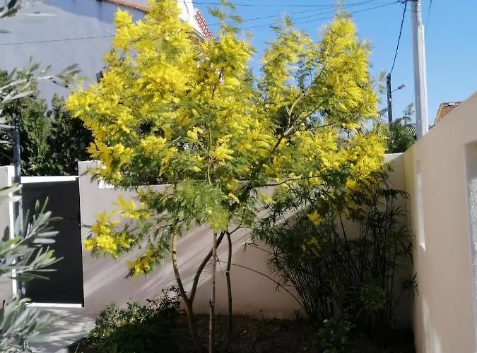 Appartamento La Maison De 6fran 2 Chaleureux Et Calme Ambiance Familiale *